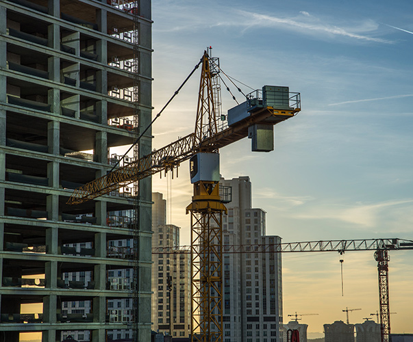 Cranes-A.jpg